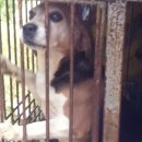 근수농장 이미지