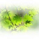 달성군청 이미지