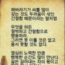 향기고운 이미지
