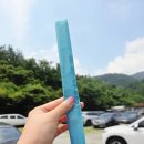 (주)동해환경 | 2026 동해 무릉오선녀탕 개장 완료! 주차, 환경부담금, 명당 자리 꿀팁까지 아이랑 물놀이 다녀온 후기