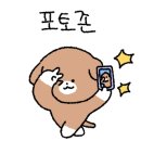 파파야 펜션