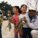 밀물농장 Daum카페