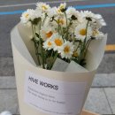 대구 동성로 꽃집 하이브웍스 Hiveworks 내돈내산 추천 후기
