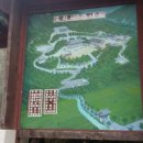 대규미나리 이미지