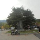 용문산 은행나무길(물소리길 6코스) 이미지