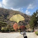 김복남맥주 진도점 | 늦은 10월말 기록