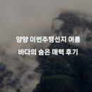 (주)바다랑 | 양양 이번주행선지 여름 바다의 숨은 매력 후기