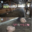 하루효소편백 네이버블로그