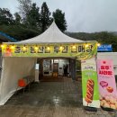 유니투스(충주1공장) | [충주 가볼만한곳] 100년의 광산이 여행지가 된 ‘충주 활옥동굴’ 탐험기