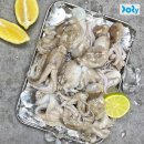 도리마켓