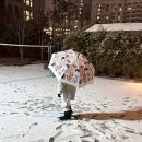 신화병원 앞 | 1월 지나기 전에 꼭! 아이와 함께 보는 전시 _ DDP 장 미셸 바스키아 展 후기