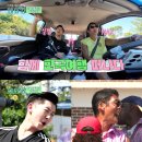 시골바이브 이미지