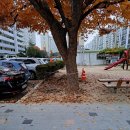 느티나무 그늘아래 평상 이미지