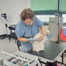 (단기)펫푸드(자격증) 이미지