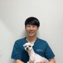 동물병원 움 이미지