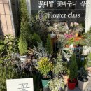 가드너의열두달