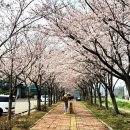 처음이자 마지막 통영여행: 첫번째 이야기 (통영애견펜션+반다찌)