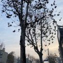 모앤미라클의원 | 광주원형탈모 심각한 다발성도 ok 극복하세요