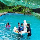 산중정원식당 이미지