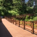 치유의 숲 이미지