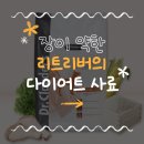 닥터송 | 닥터클라우더 인테스티널 다이어트 사료 — 장이 약한 송자몽의 하루가 달라졌어요