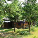 힐링건강랜드 이미지