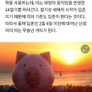 띠 변경 기준일은 '입춘'이라네요.. 이미지