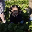 두현농장 이미지