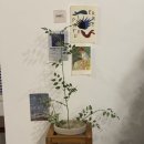 부흥로1L | 부평 카페 온잇 1L커피 테이크아웃 후기