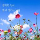 가을빛 이미지