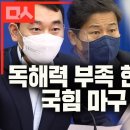 민주당 뼈직구에 국짐 독해력 부족 인증만 이미지