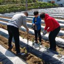 괴산농장 이미지