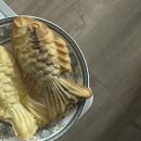 NR-7[동해대로]-상-140 | 2023.11월 일상기록_ 바쁘지도 않고 여유로운 11월이었다 〰️