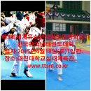 제3회 세계유소년태권도연맹회장기 전국유소년태권도대회(종료) 이미지