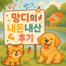 흥옌 에코파크 헤드스파 맛집 다녀온 후기, 민트 스파 Mint beauty spa, 에코파크 숲속 스타벅스 후기