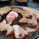 대구맛집고령뒷고기 이미지