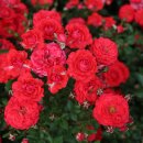 섬진강 둘레길 이미지