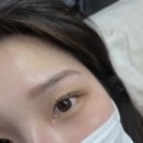 수예블리 이미지