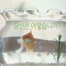 순화광고 이미지