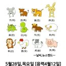 5월28일 목요일 이미지
