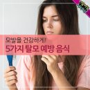 2월18일 신문에 나온 이야기들 이미지