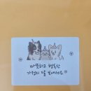 코코호도 반반호두과자 택배후기