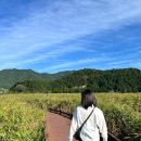 순천만습지 쉼터 화장실 이미지