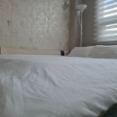 두바이애견풀빌라2 이미지