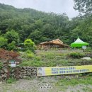 농암로(예안면) 이미지