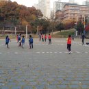 고려태권도 이미지