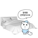 전망대셀프세차장 | 250101-250123 새해 첫 글