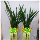 정암한의원 이미지