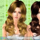 ONE HAIR 이미지