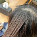 아라헤어터치 - 북구 신용동 | 아라헤어터치